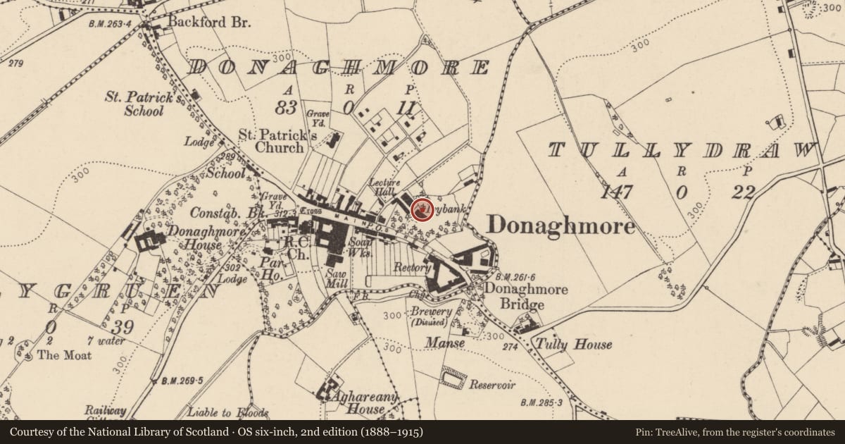 Ordnance Survey six-inch map, 2nd edition (1888–1915) covering the location of IVYBANK, Mid Ulster, with a pin at the register's coordinates