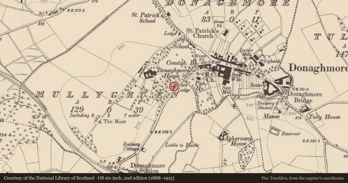 Ordnance Survey six-inch map, 2nd edition (1888–1915) covering the location of East Gate Lodge, Mullygruen, Mid Ulster, with a pin at the register's coordinates