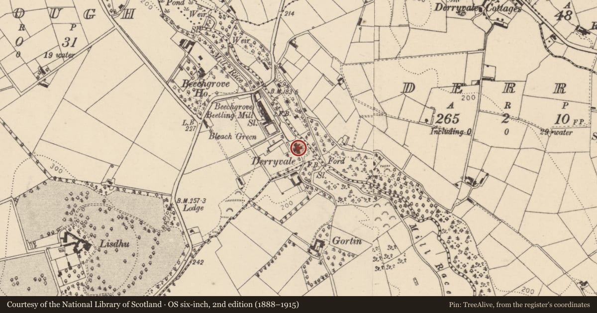 Ordnance Survey six-inch map, 2nd edition (1888–1915) covering the location of Derryvale House, Mid Ulster, with a pin at the register's coordinates