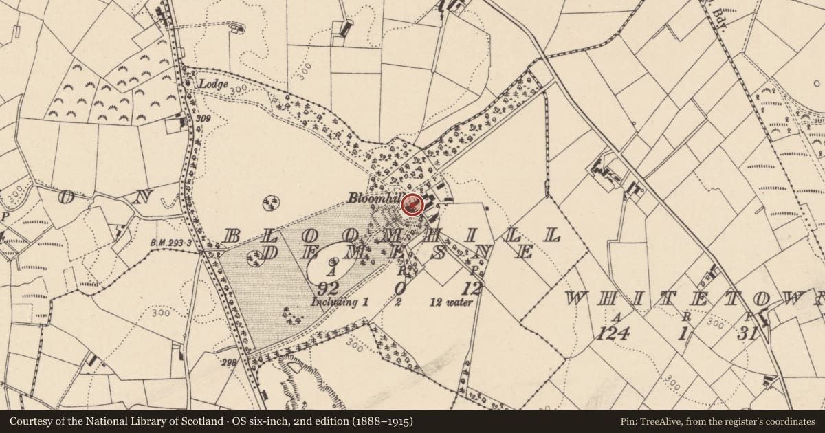 Ordnance Survey six-inch map, 2nd edition (1888–1915) covering the location of BLOOMHILL, Mid Ulster, with a pin at the register's coordinates