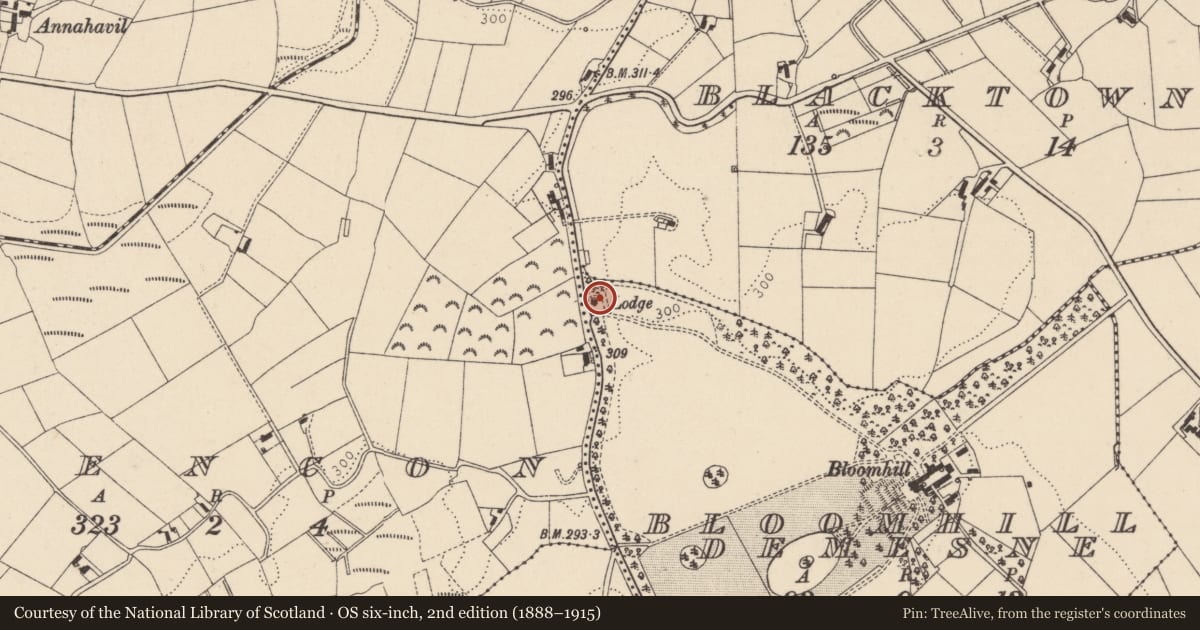 Ordnance Survey six-inch map, 2nd edition (1888–1915) covering the location of Gate Lodge, Mid Ulster, with a pin at the register's coordinates