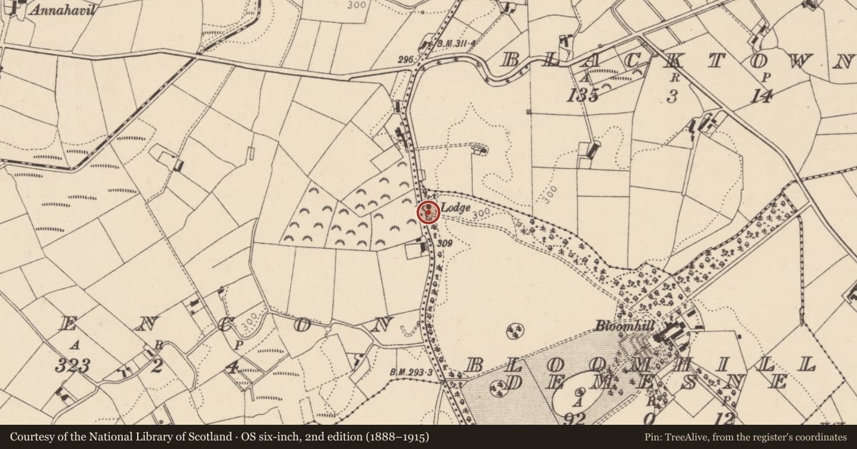 Ordnance Survey six-inch map, 2nd edition (1888–1915) covering the location of Gates And Screen, Mid Ulster, with a pin at the register's coordinates