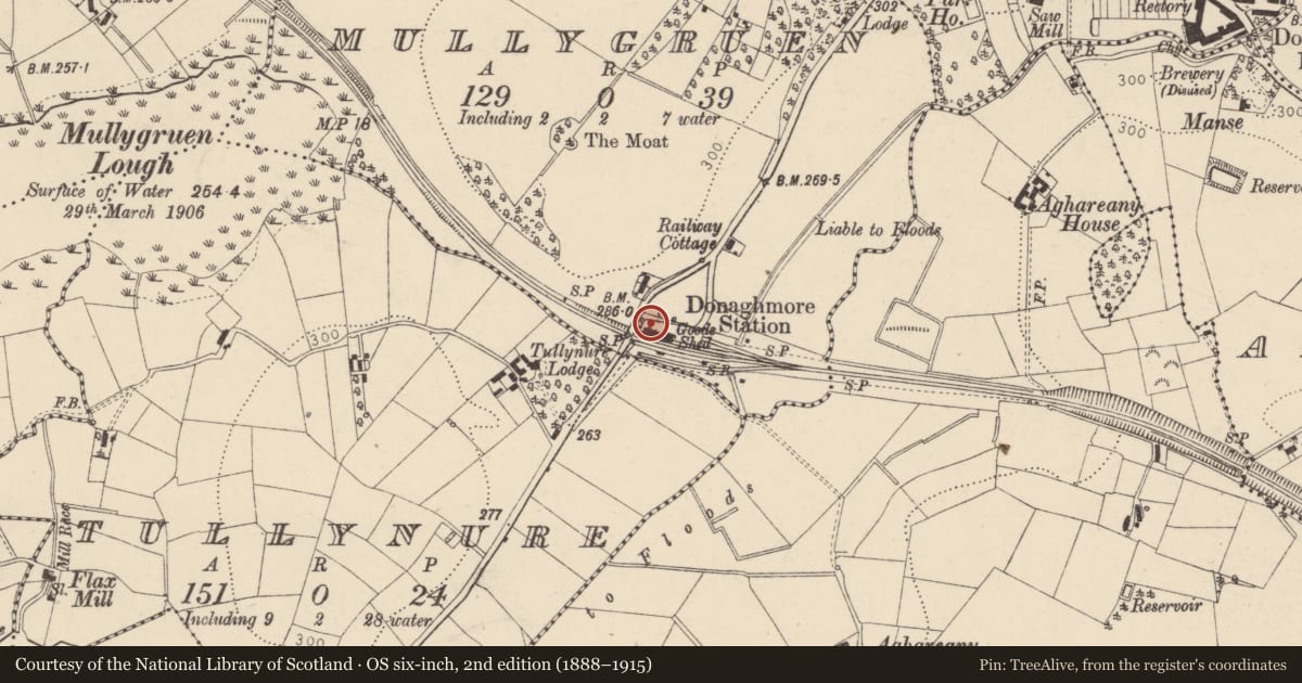 Ordnance Survey six-inch map, 2nd edition (1888–1915) covering the location of Donaghmore Station 39 Castlecaulfield Road Donaghmore Dungannon Co Tyrone BT70 3HF, Mullygrue, Mid Ulster, with a pin at the register's coordinates