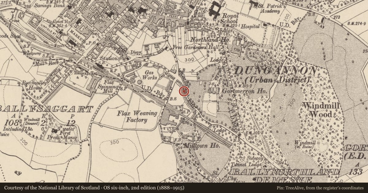 Ordnance Survey six-inch map, 2nd edition (1888–1915) covering the location of 5 Brooke St., Mid Ulster, with a pin at the register's coordinates