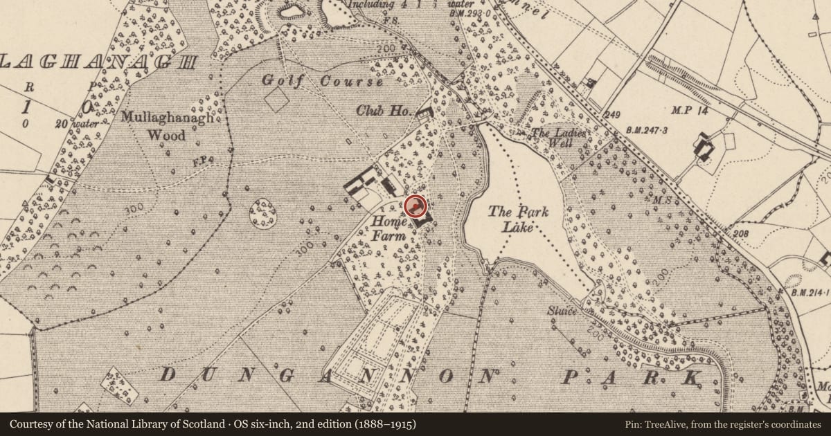 Ordnance Survey six-inch map, 2nd edition (1888–1915) covering the location of Ranfurly Park Farm, Mid Ulster, with a pin at the register's coordinates