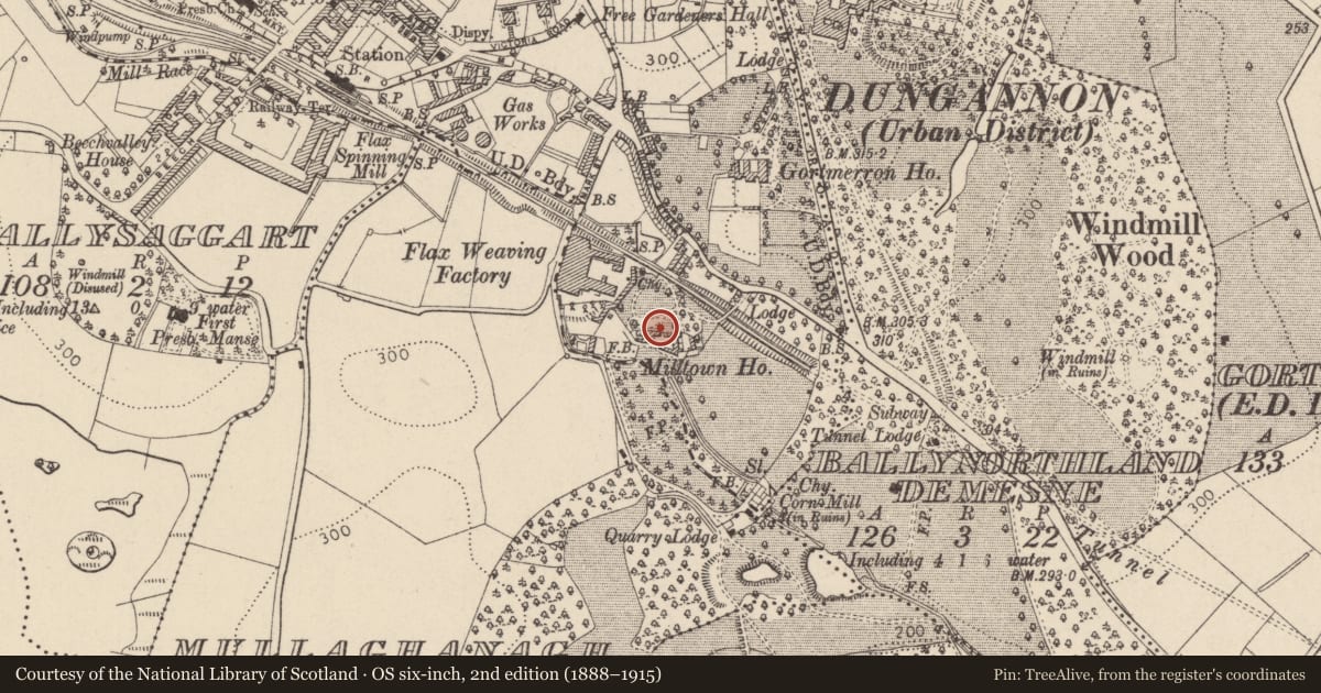 Ordnance Survey six-inch map, 2nd edition (1888–1915) covering the location of Milltown House, Mid Ulster, with a pin at the register's coordinates