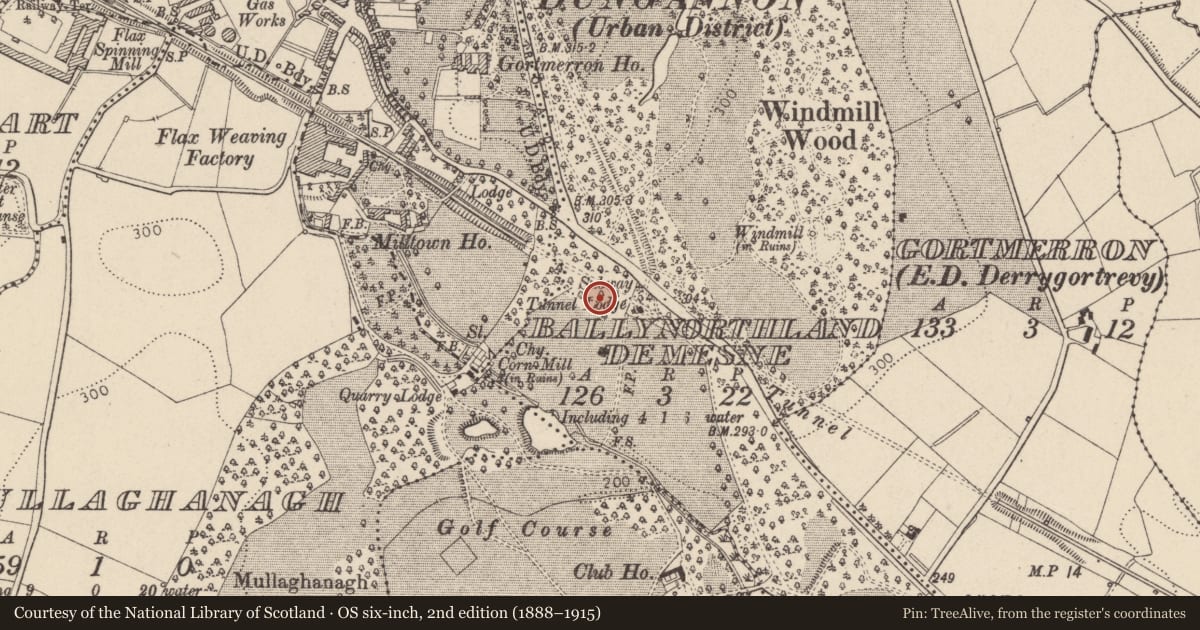 Ordnance Survey six-inch map, 2nd edition (1888–1915) covering the location of Subway At Tunnel Lodge Ranfurly Road, Mid Ulster, with a pin at the register's coordinates