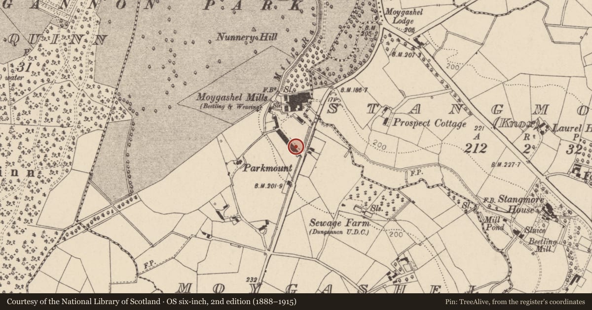 Ordnance Survey six-inch map, 2nd edition (1888–1915) covering the location of 28 Moygashel Row, Mid Ulster, with a pin at the register's coordinates