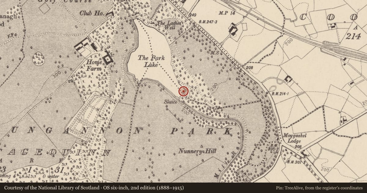 Ordnance Survey six-inch map, 2nd edition (1888–1915) covering the location of Lake Dam, Mid Ulster, with a pin at the register's coordinates