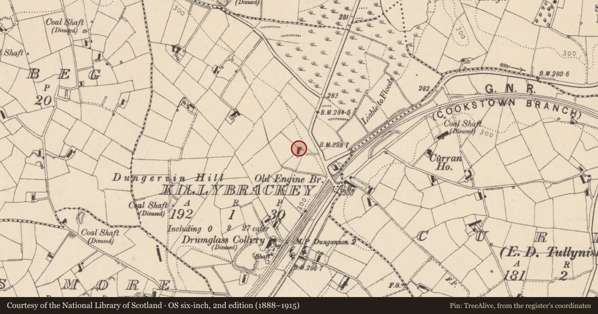 Ordnance Survey six-inch map, 2nd edition (1888–1915) covering the location of 2 Quintinmanus Road, Mid Ulster, with a pin at the register's coordinates