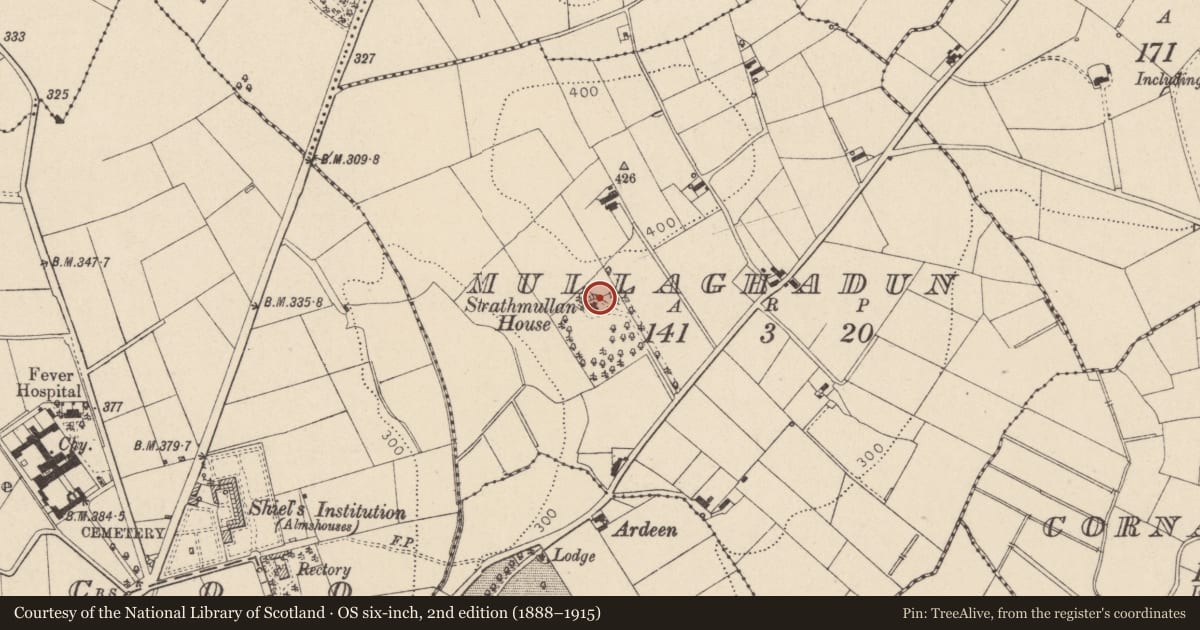 Ordnance Survey six-inch map, 2nd edition (1888–1915) covering the location of Strathmullan House, Mid Ulster, with a pin at the register's coordinates
