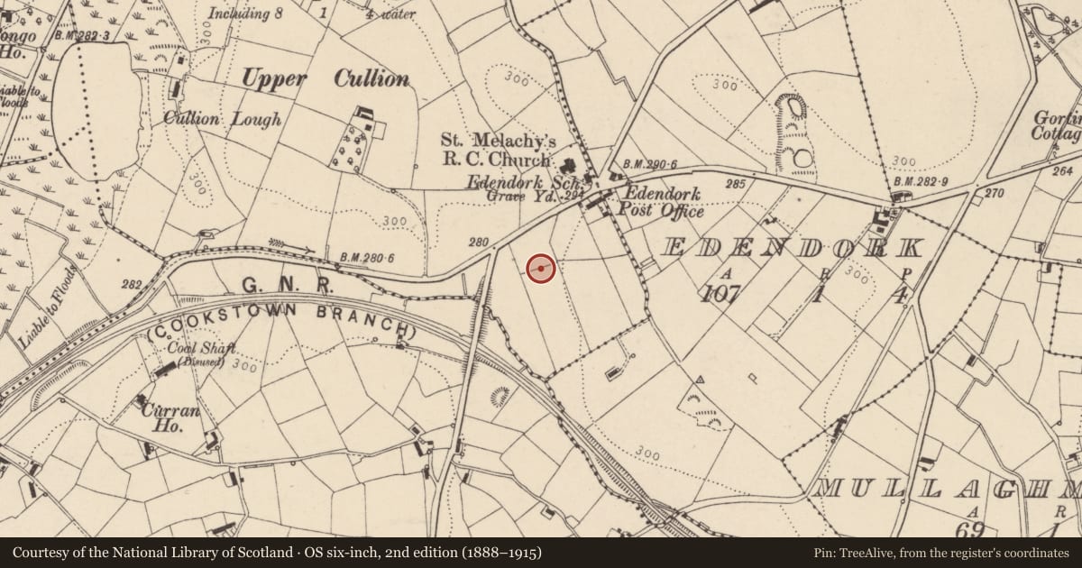 Ordnance Survey six-inch map, 2nd edition (1888–1915) covering the location of St Malachy's Parochial Hall, Killymeal Road, Edendork, Tyrone BT71 6LE, Cullion, Mid Ulster, with a pin at the register's coordinates