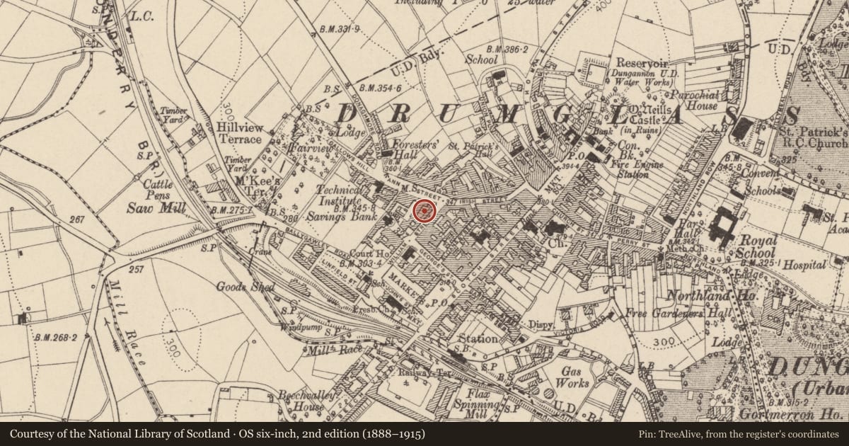 Ordnance Survey six-inch map, 2nd edition (1888–1915) covering the location of 11 William St., Mid Ulster, with a pin at the register's coordinates