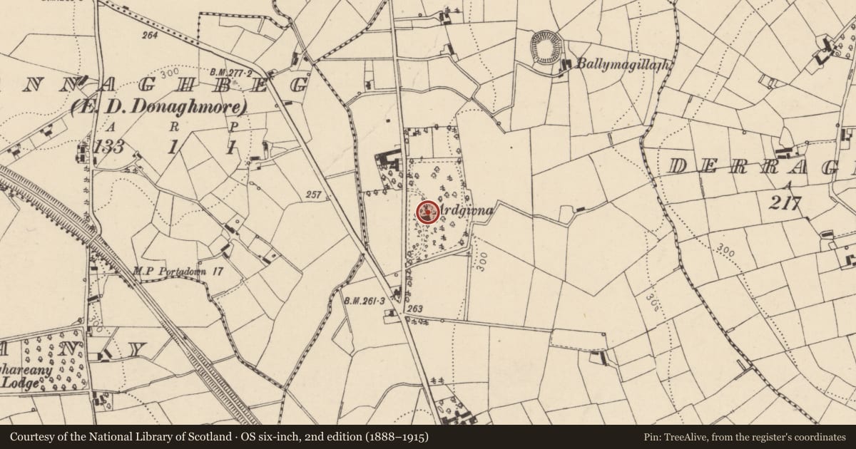 Ordnance Survey six-inch map, 2nd edition (1888–1915) covering the location of ARDGIVNA, Mid Ulster, with a pin at the register's coordinates