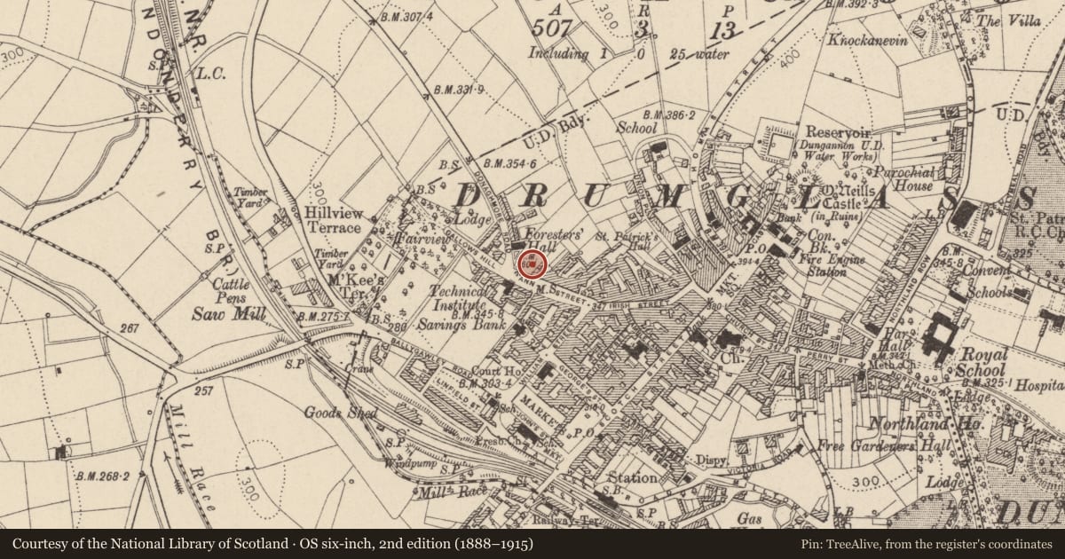 Ordnance Survey six-inch map, 2nd edition (1888–1915) covering the location of 13 Anne St., Mid Ulster, with a pin at the register's coordinates