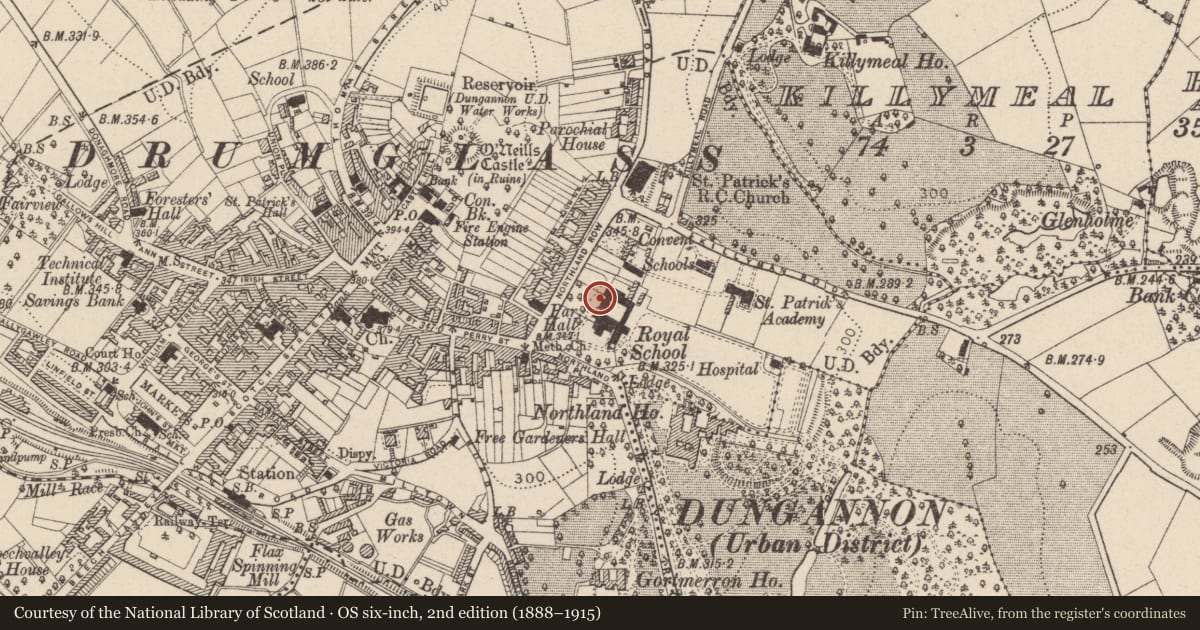 Ordnance Survey six-inch map, 2nd edition (1888–1915) covering the location of Dungannon Royal School, Mid Ulster, with a pin at the register's coordinates