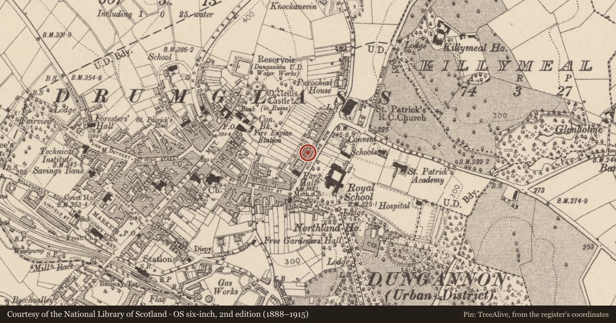 Ordnance Survey six-inch map, 2nd edition (1888–1915) covering the location of 22 Northland Row, Mid Ulster, with a pin at the register's coordinates