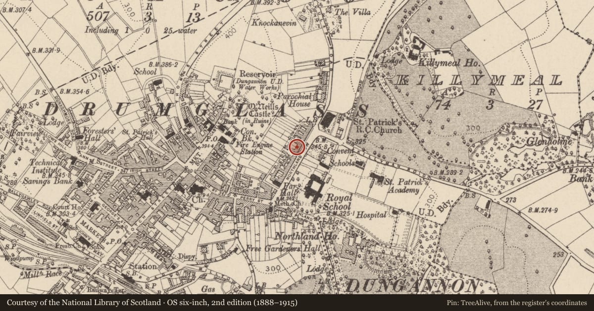 Ordnance Survey six-inch map, 2nd edition (1888–1915) covering the location of 28 Northland Row, Mid Ulster, with a pin at the register's coordinates