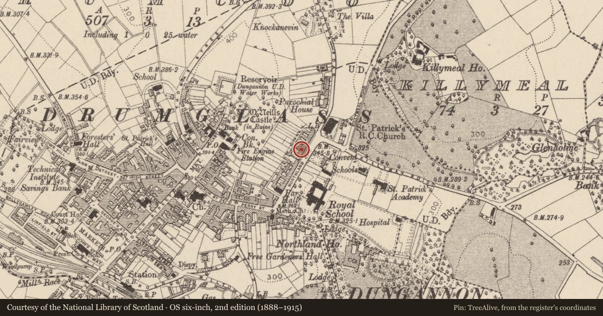 Ordnance Survey six-inch map, 2nd edition (1888–1915) covering the location of 30 Northland Row, Mid Ulster, with a pin at the register's coordinates