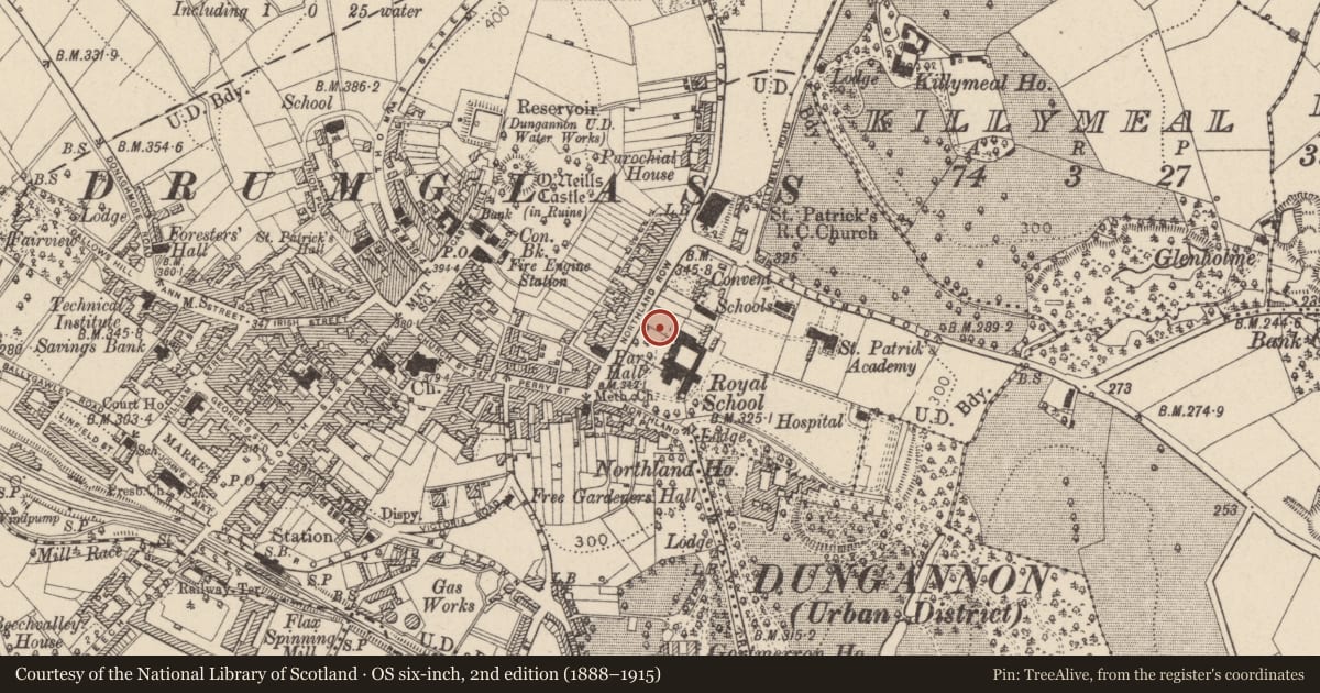 Ordnance Survey six-inch map, 2nd edition (1888–1915) covering the location of General Nicholson Statue, Mid Ulster, with a pin at the register's coordinates