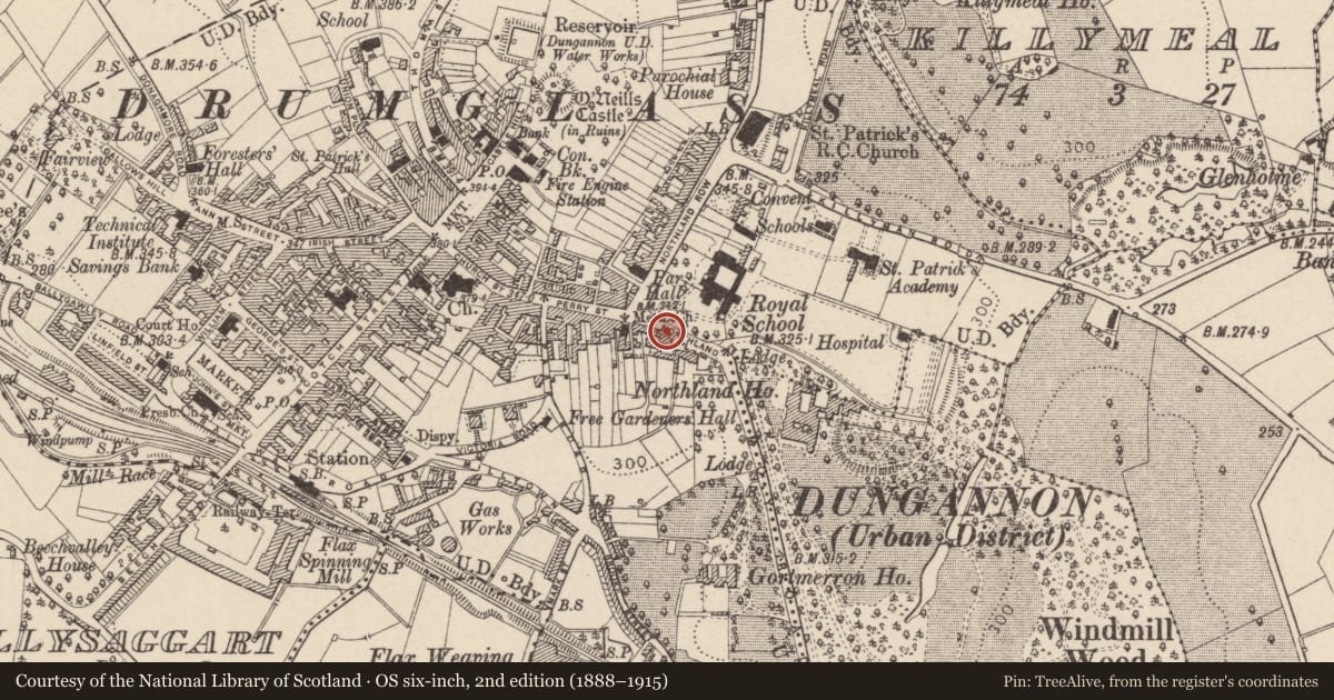 Ordnance Survey six-inch map, 2nd edition (1888–1915) covering the location of 4 Northland Place, Mid Ulster, with a pin at the register's coordinates