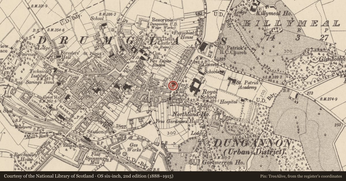 Ordnance Survey six-inch map, 2nd edition (1888–1915) covering the location of 6-8 Northland Row, `, Mid Ulster, with a pin at the register's coordinates