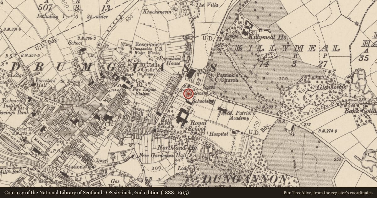 Ordnance Survey six-inch map, 2nd edition (1888–1915) covering the location of Convent Of Mercy, Mid Ulster, with a pin at the register's coordinates