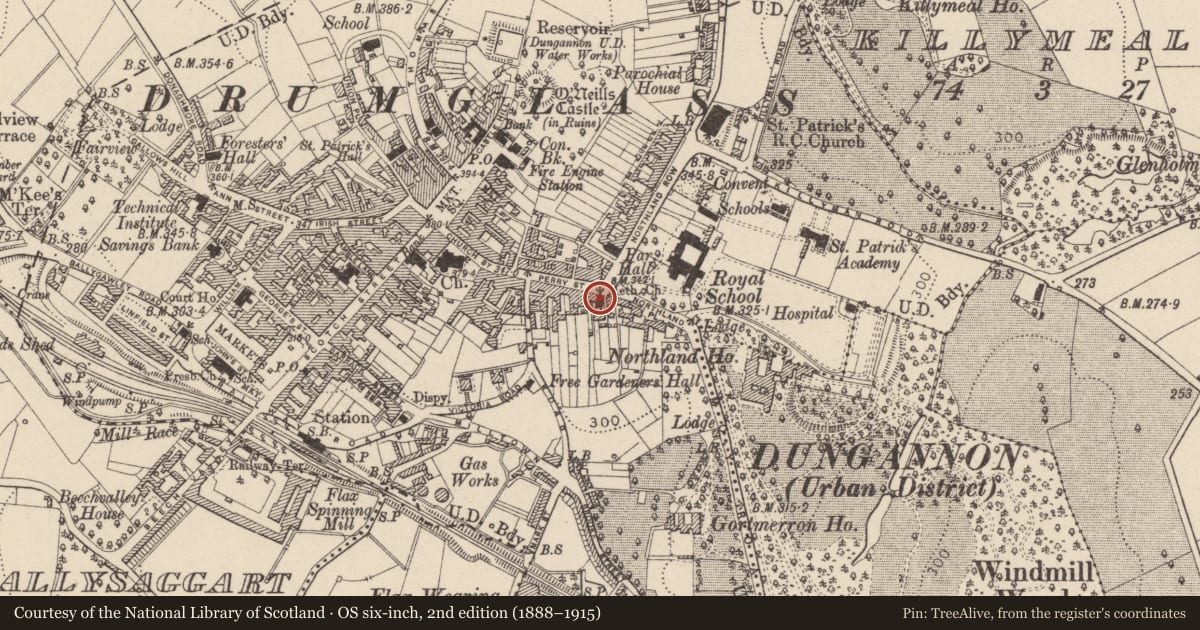Ordnance Survey six-inch map, 2nd edition (1888–1915) covering the location of Methodist Church Northland Place, Mid Ulster, with a pin at the register's coordinates