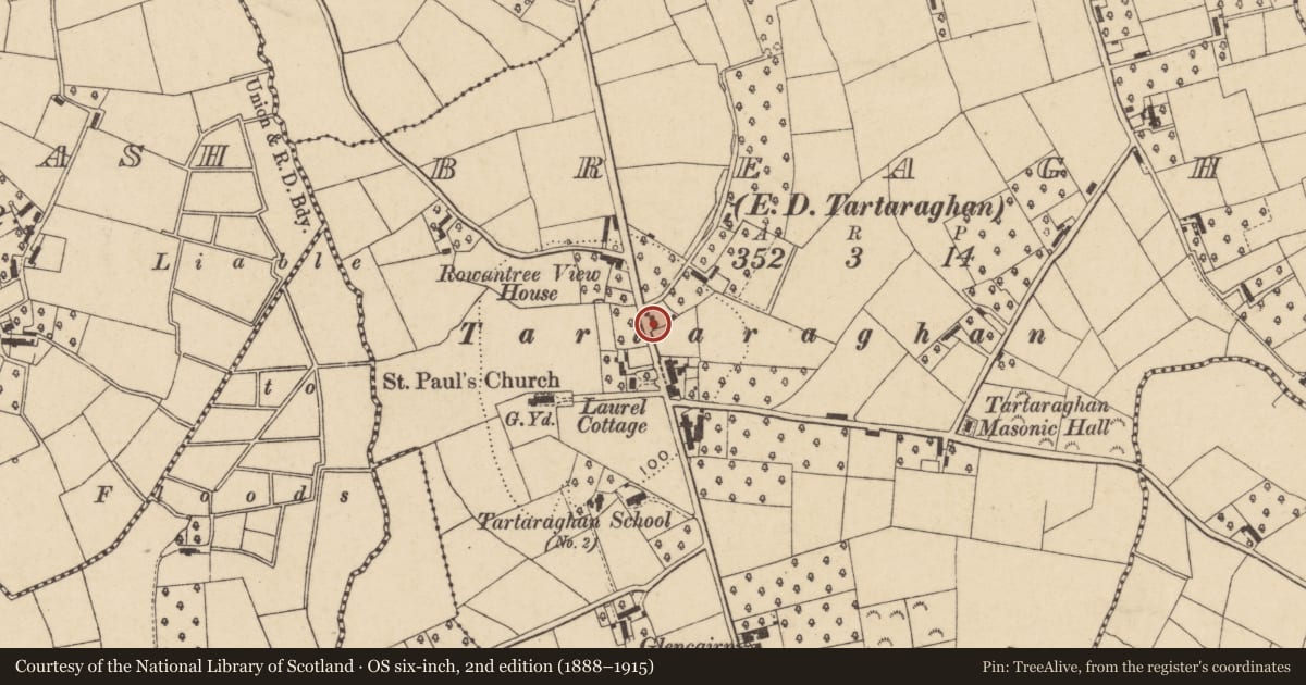 Ordnance Survey six-inch map, 2nd edition (1888–1915) covering the location of Lawson'S Bar, Armagh City, Banbridge and Craigavon, with a pin at the register's coordinates