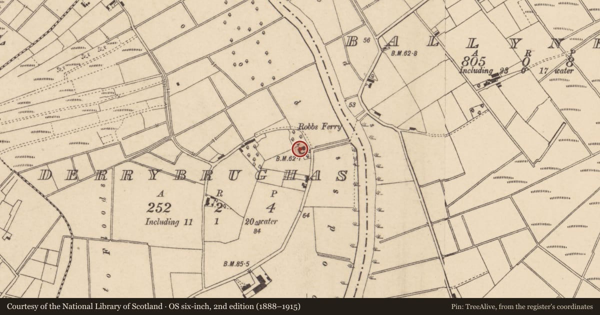 Ordnance Survey six-inch map, 2nd edition (1888–1915) covering the location of 57 Derrycarne Road, Derrybrughas, Armagh City, Banbridge and Craigavon, with a pin at the register's coordinates