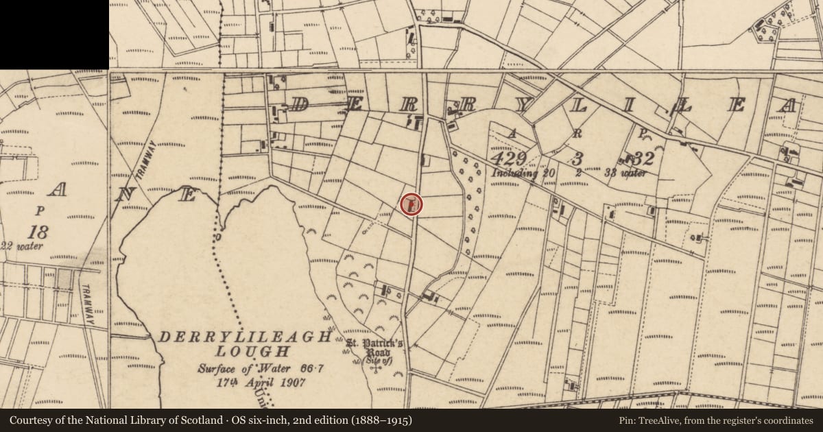 Ordnance Survey six-inch map, 2nd edition (1888–1915) covering the location of 40 Derrylileagh Road, Craigavon, BT62 1TG, Armagh City, Banbridge and Craigavon, with a pin at the register's coordinates