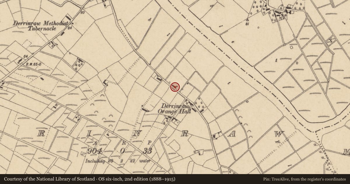 Ordnance Survey six-inch map, 2nd edition (1888–1915) covering the location of 25 Greenisland Road, with a pin at the register's coordinates