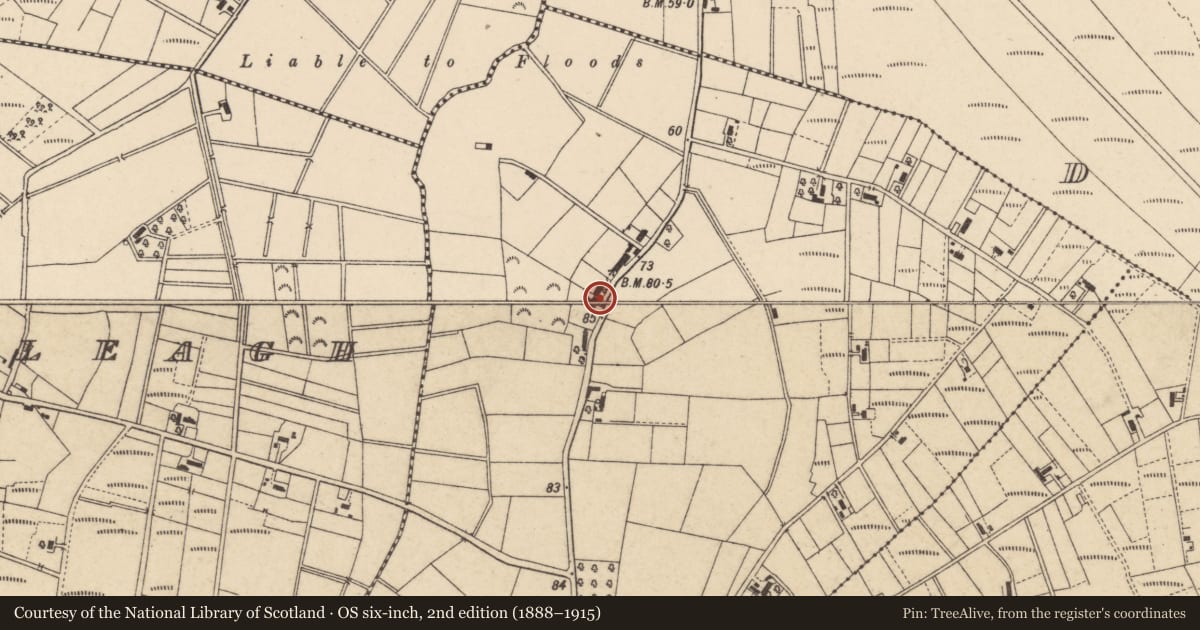 Ordnance Survey six-inch map, 2nd edition (1888–1915) covering the location of 52 Clonmakate Road, Craigavon, with a pin at the register's coordinates