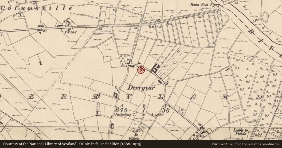 Ordnance Survey six-inch map, 2nd edition (1888–1915) covering the location of 92 Greenisland Road, with a pin at the register's coordinates
