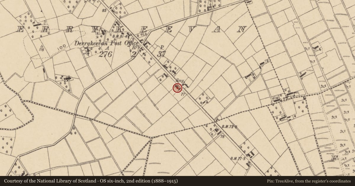 Ordnance Survey six-inch map, 2nd edition (1888–1915) covering the location of Former Derrykevan Post Office, 134 Dungannon Road, PORTADOWN, CRAIGAVON, BT62 1LH, Armagh City, Banbridge and Craigavon, with a pin at the register's coordinates