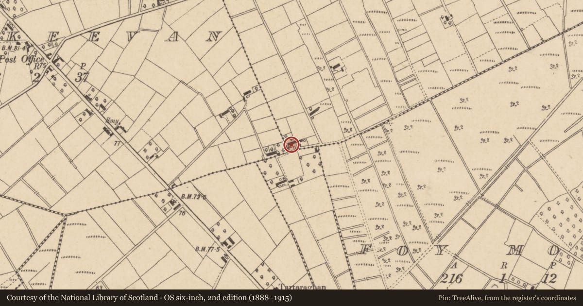 Ordnance Survey six-inch map, 2nd edition (1888–1915) covering the location of Formerly 125 Dungannon Road, Portadown, Craigavon, BT62 1UG, Derrykeeran, Armagh City, Banbridge and Craigavon, with a pin at the register's coordinates