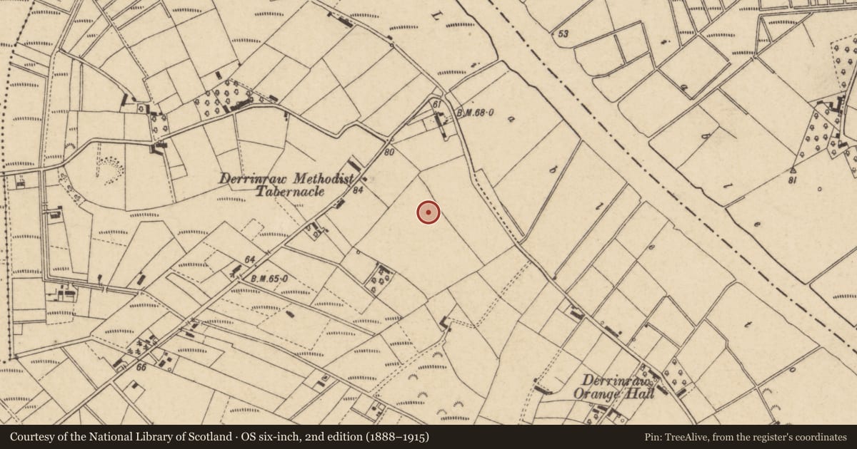 Ordnance Survey six-inch map, 2nd edition (1888–1915) covering the location of 31 Greenisland Road Craigavon, with a pin at the register's coordinates