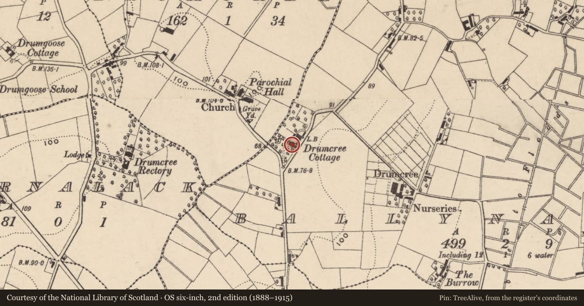 Ordnance Survey six-inch map, 2nd edition (1888–1915) covering the location of The Rockery, Armagh City, Banbridge and Craigavon, with a pin at the register's coordinates