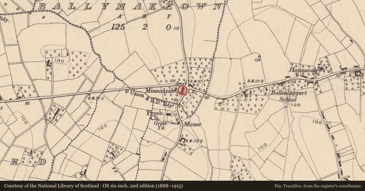 Ordnance Survey six-inch map, 2nd edition (1888–1915) covering the location of Vinecash House, Armagh City, Banbridge and Craigavon, with a pin at the register's coordinates
