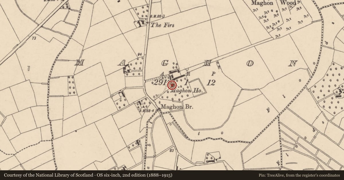 Ordnance Survey six-inch map, 2nd edition (1888–1915) covering the location of Mahon House, Armagh City, Banbridge and Craigavon, with a pin at the register's coordinates