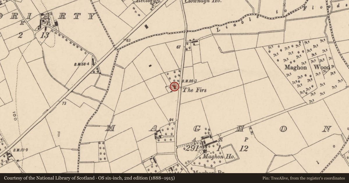 Ordnance Survey six-inch map, 2nd edition (1888–1915) covering the location of The Firs, Armagh City, Banbridge and Craigavon, with a pin at the register's coordinates