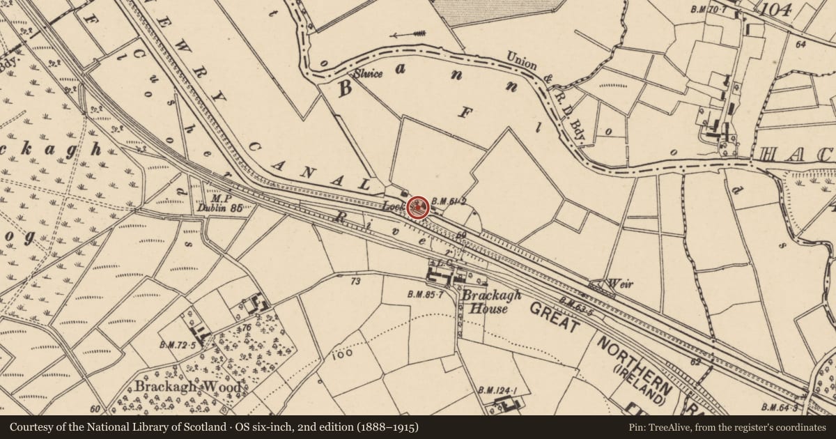 Ordnance Survey six-inch map, 2nd edition (1888–1915) covering the location of 30 Horseshoe Lane, Armagh City, Banbridge and Craigavon, with a pin at the register's coordinates