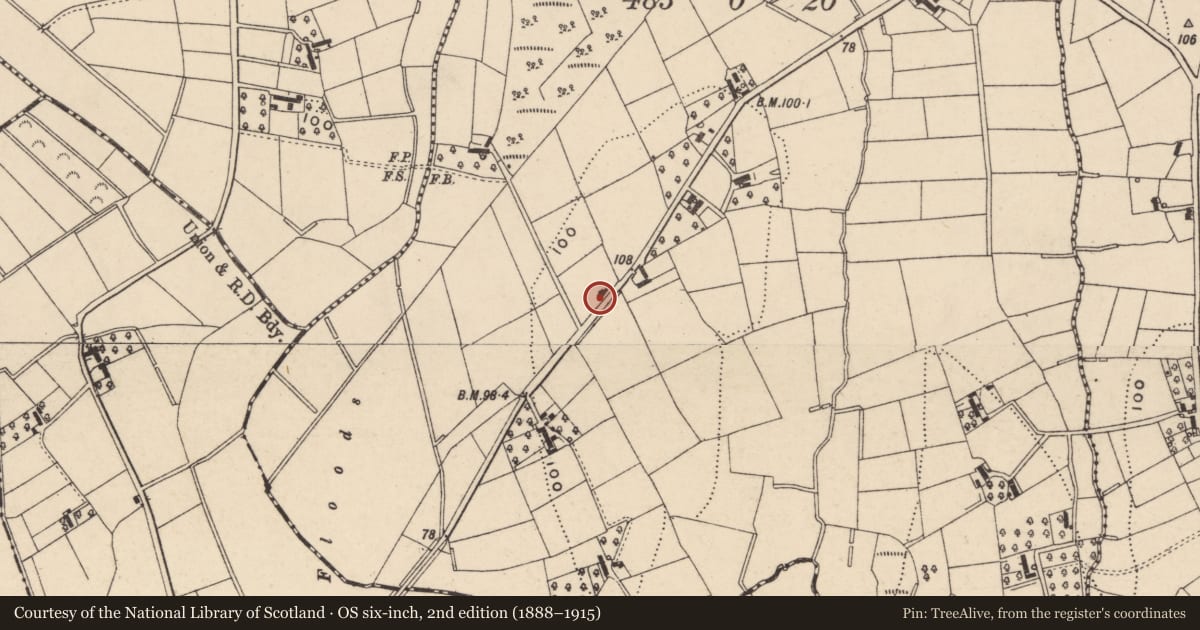 Ordnance Survey six-inch map, 2nd edition (1888–1915) covering the location of Store, Drumnakelly, Armagh City, Banbridge and Craigavon, with a pin at the register's coordinates