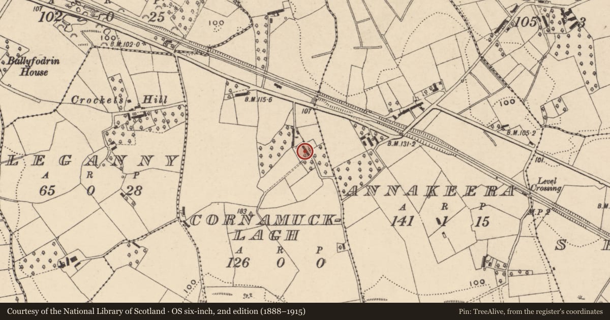 Ordnance Survey six-inch map, 2nd edition (1888–1915) covering the location of 60 Moy Road, Portadown, BT62 1QW, Cornamucklagh, Armagh City, Banbridge and Craigavon, with a pin at the register's coordinates