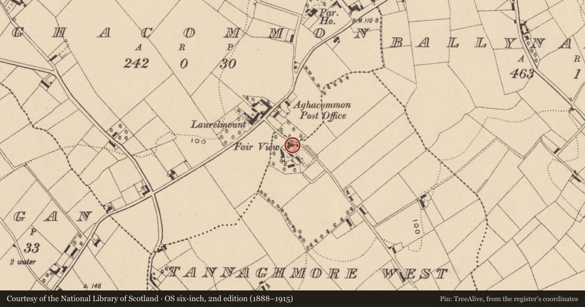 Ordnance Survey six-inch map, 2nd edition (1888–1915) covering the location of Fairview House, Armagh City, Banbridge and Craigavon, with a pin at the register's coordinates