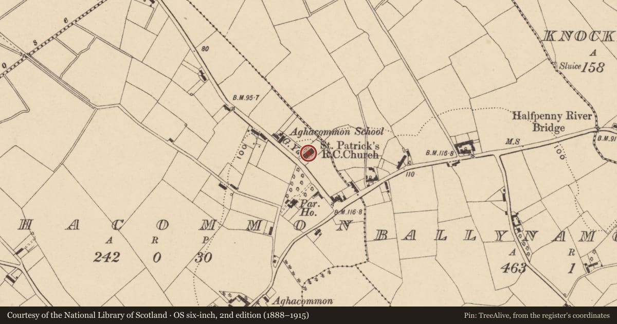 Ordnance Survey six-inch map, 2nd edition (1888–1915) covering the location of St. Patrick'S R C CHURCH, Armagh City, Banbridge and Craigavon, with a pin at the register's coordinates