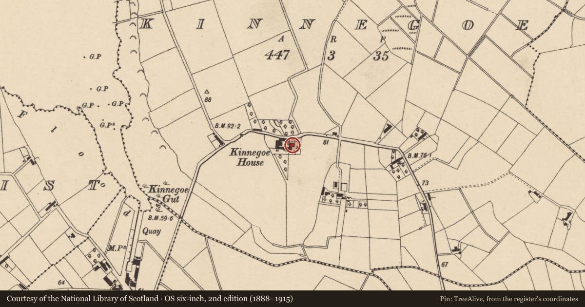 Ordnance Survey six-inch map, 2nd edition (1888–1915) covering the location of Kinnegoe House, Armagh City, Banbridge and Craigavon, with a pin at the register's coordinates