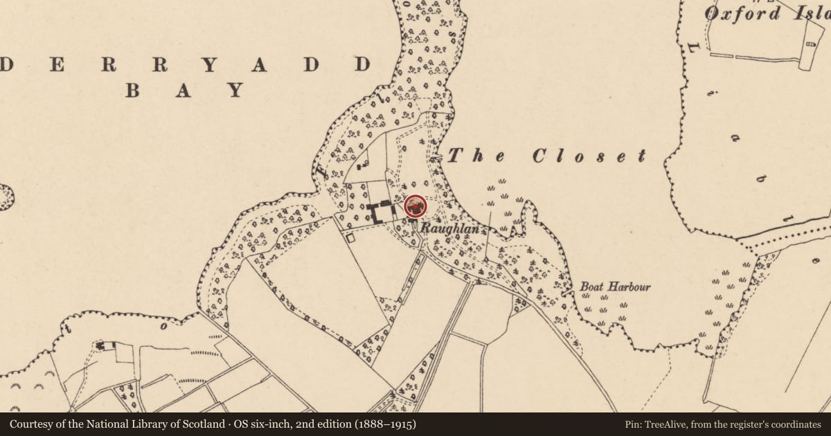 Ordnance Survey six-inch map, 2nd edition (1888–1915) covering the location of Raughlan House, Armagh City, Banbridge and Craigavon, with a pin at the register's coordinates