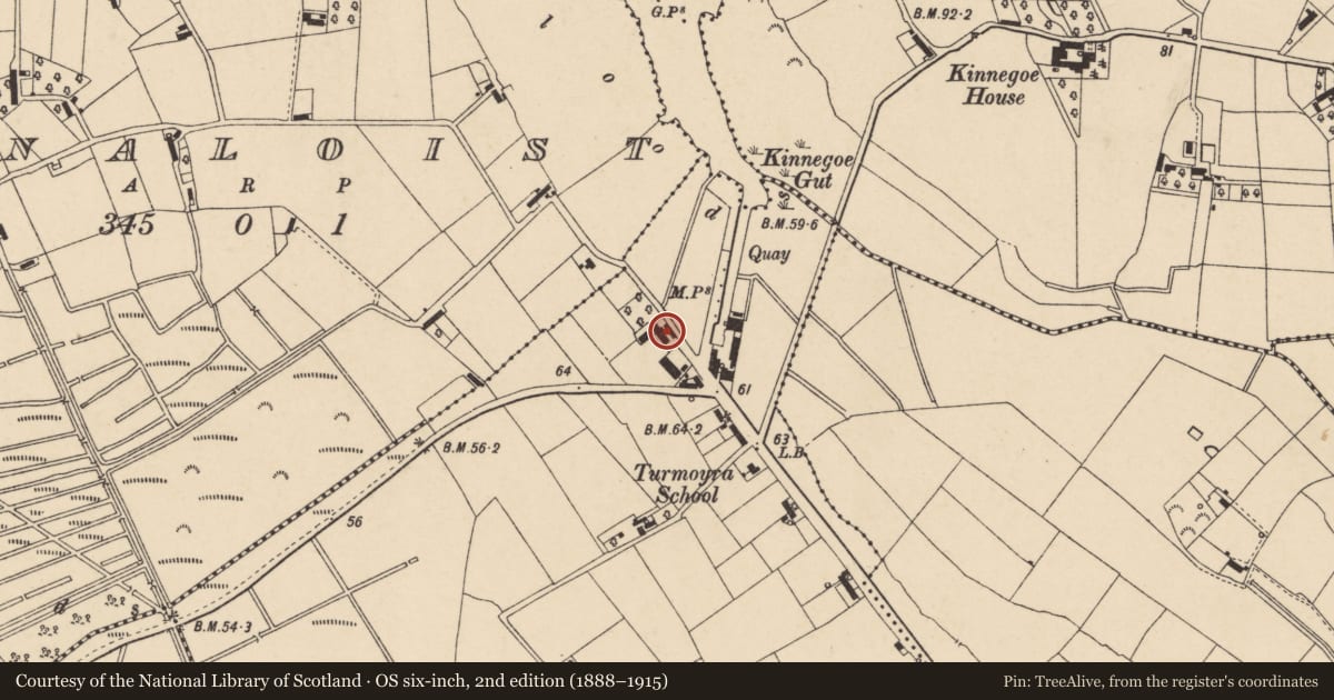 Ordnance Survey six-inch map, 2nd edition (1888–1915) covering the location of 4 Annaloist Road, Armagh City, Banbridge and Craigavon, with a pin at the register's coordinates