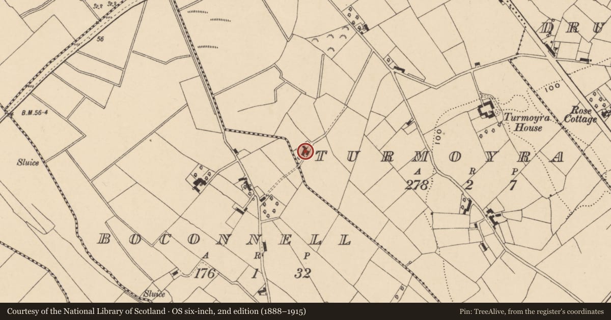 Ordnance Survey six-inch map, 2nd edition (1888–1915) covering the location of Turmoyra Farm, Armagh City, Banbridge and Craigavon, with a pin at the register's coordinates